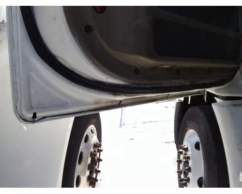 FREIGHTLINER CASCADIA 113 DOOR ASSEMBLY, FRONT