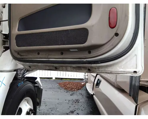 FREIGHTLINER CASCADIA 113 DOOR ASSEMBLY, FRONT