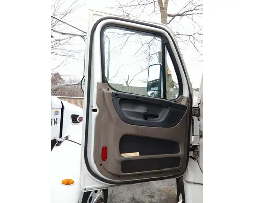 FREIGHTLINER CASCADIA 113 DOOR ASSEMBLY, FRONT