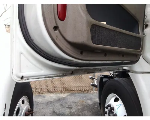 FREIGHTLINER CASCADIA 113 DOOR ASSEMBLY, FRONT