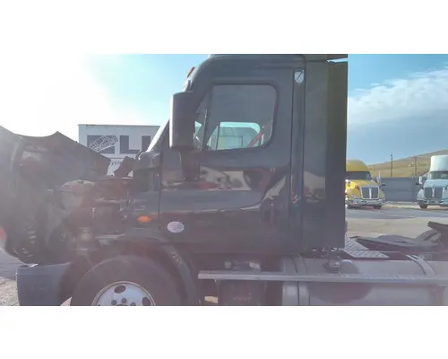 FREIGHTLINER CASCADIA 113 DOOR ASSEMBLY, FRONT