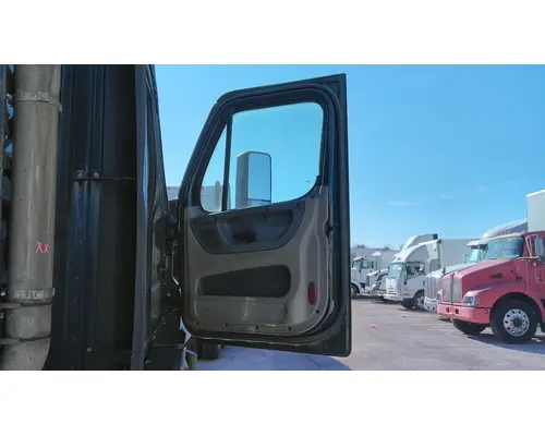 FREIGHTLINER CASCADIA 113 DOOR ASSEMBLY, FRONT
