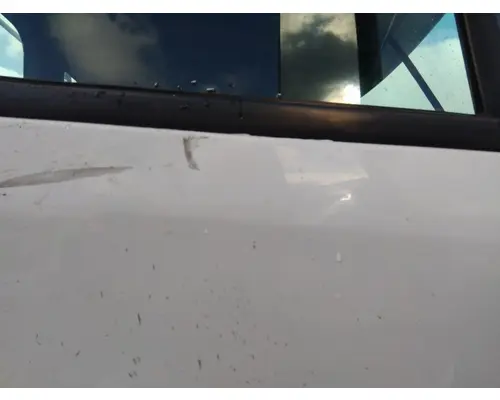 FREIGHTLINER CASCADIA 113 DOOR ASSEMBLY, FRONT