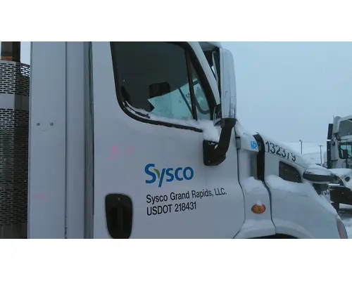 FREIGHTLINER CASCADIA 113 DOOR ASSEMBLY, FRONT