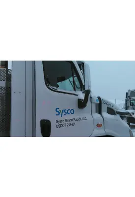 FREIGHTLINER CASCADIA 113 DOOR ASSEMBLY, FRONT