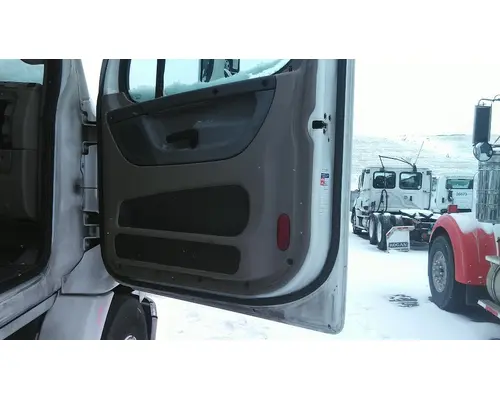 FREIGHTLINER CASCADIA 113 DOOR ASSEMBLY, FRONT