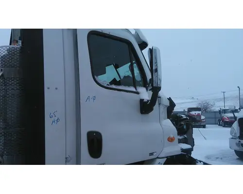 FREIGHTLINER CASCADIA 113 DOOR ASSEMBLY, FRONT