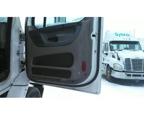 FREIGHTLINER CASCADIA 113 DOOR ASSEMBLY, FRONT