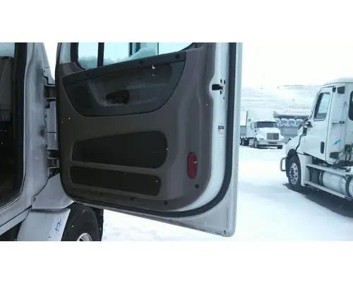FREIGHTLINER CASCADIA 113 DOOR ASSEMBLY, FRONT