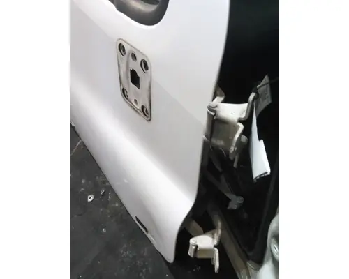 FREIGHTLINER CASCADIA 113 DOOR ASSEMBLY, FRONT