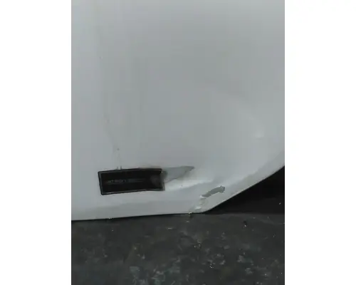 FREIGHTLINER CASCADIA 113 DOOR ASSEMBLY, FRONT