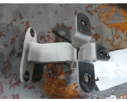 FREIGHTLINER CASCADIA 113 DOOR HINGE