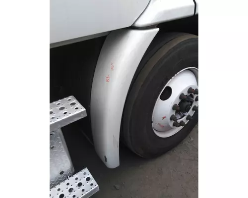 FREIGHTLINER CASCADIA 113 FENDER EXTENSION