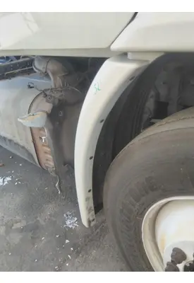 FREIGHTLINER CASCADIA 113 FENDER EXTENSION