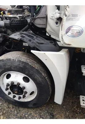 FREIGHTLINER CASCADIA 113 FENDER EXTENSION