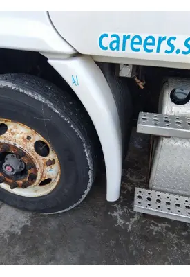 FREIGHTLINER CASCADIA 113 FENDER EXTENSION