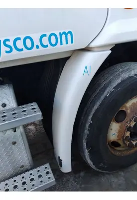 FREIGHTLINER CASCADIA 113 FENDER EXTENSION