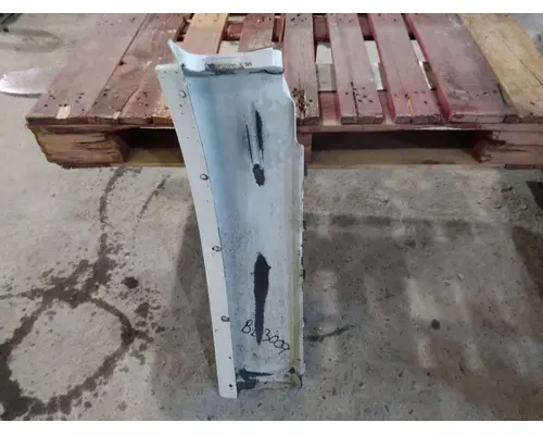 FREIGHTLINER CASCADIA 113 FENDER EXTENSION