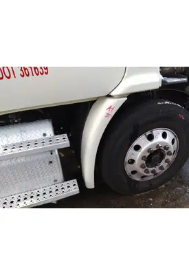 FREIGHTLINER CASCADIA 113 FENDER EXTENSION