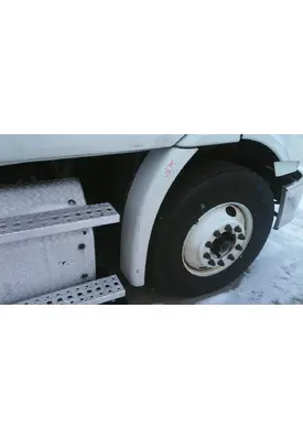 FREIGHTLINER CASCADIA 113 FENDER EXTENSION