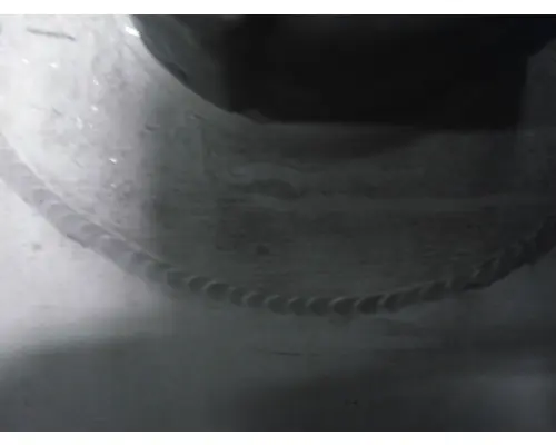 FREIGHTLINER CASCADIA 113 FUEL TANK