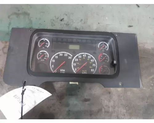 FREIGHTLINER CASCADIA 113 GAUGE CLUSTER