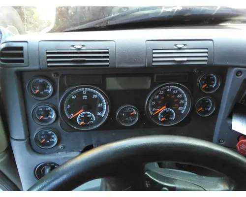 FREIGHTLINER CASCADIA 113 GAUGE CLUSTER