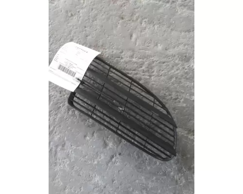 FREIGHTLINER CASCADIA 113 HOOD, SECTION