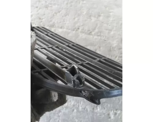 FREIGHTLINER CASCADIA 113 HOOD, SECTION