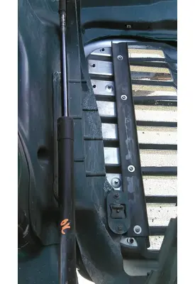 FREIGHTLINER CASCADIA 113 HOOD SHOCK/STRUT