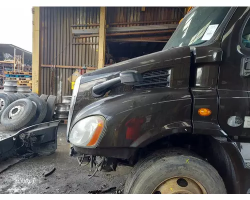 FREIGHTLINER CASCADIA 113 HOOD