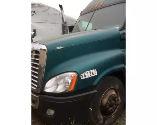 FREIGHTLINER CASCADIA 113 HOOD