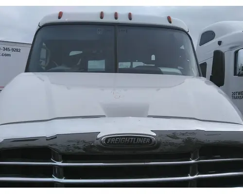 FREIGHTLINER CASCADIA 113 HOOD