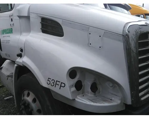 FREIGHTLINER CASCADIA 113 HOOD