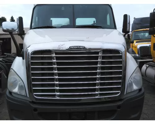 FREIGHTLINER CASCADIA 113 HOOD