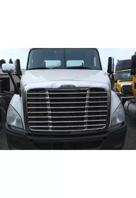 FREIGHTLINER CASCADIA 113 HOOD