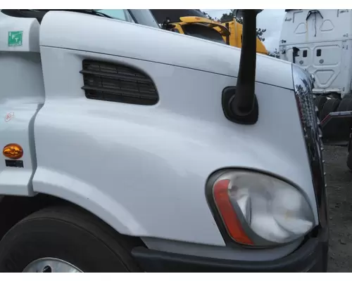 FREIGHTLINER CASCADIA 113 HOOD