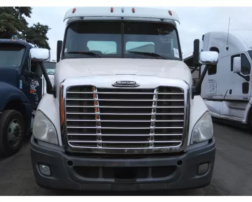 FREIGHTLINER CASCADIA 113 HOOD