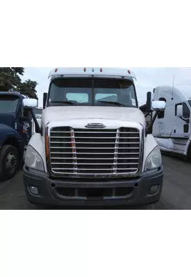 FREIGHTLINER CASCADIA 113 HOOD