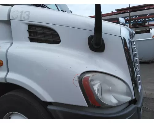 FREIGHTLINER CASCADIA 113 HOOD