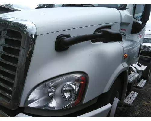 FREIGHTLINER CASCADIA 113 HOOD