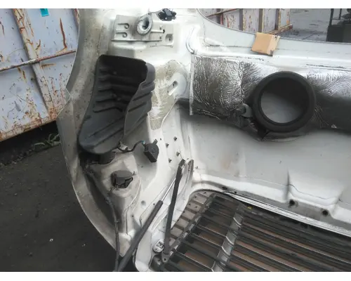 FREIGHTLINER CASCADIA 113 HOOD