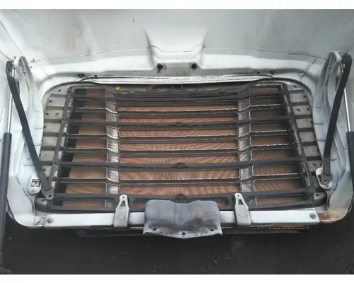 FREIGHTLINER CASCADIA 113 HOOD