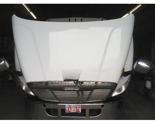FREIGHTLINER CASCADIA 113 HOOD