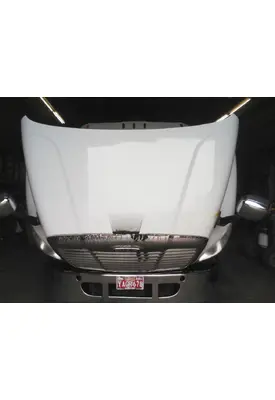 FREIGHTLINER CASCADIA 113 HOOD