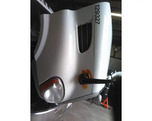 FREIGHTLINER CASCADIA 113 HOOD