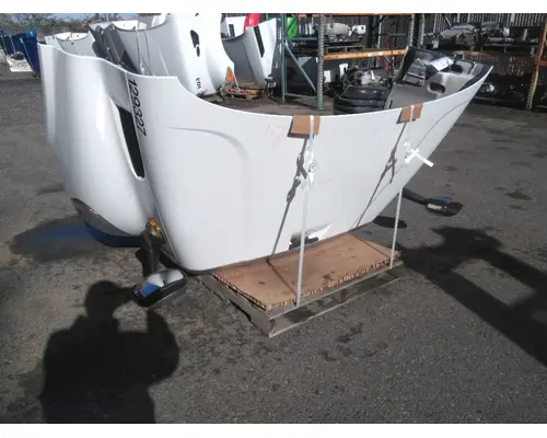 FREIGHTLINER CASCADIA 113 HOOD