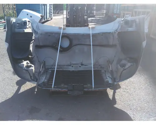 FREIGHTLINER CASCADIA 113 HOOD