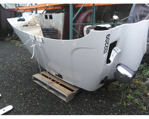FREIGHTLINER CASCADIA 113 HOOD