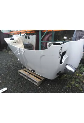 FREIGHTLINER CASCADIA 113 HOOD